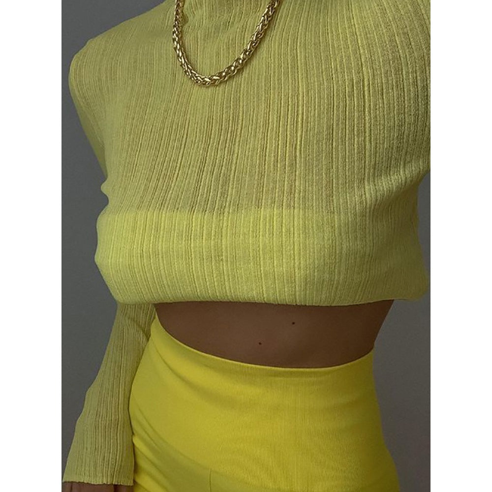 Women's Spring Clothing Long Sleeve Mesh See-through T-shirt Women's Solid Color Turtleneck Slim Top